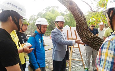 photo1(建設局長黃玉霖與國際樹木醫生前往后里森林園區為樹木進行健診觀察。／台中市建設局提供)