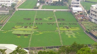 彩繪稻田1(台中市農業局提供)