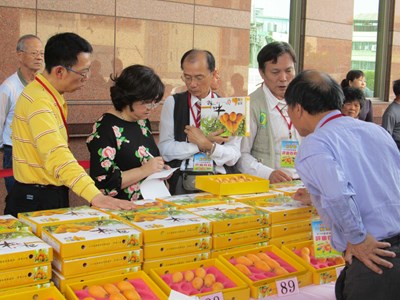 太平地區優質枇杷評鑑出爐 沈阿香榮獲枇杷達人