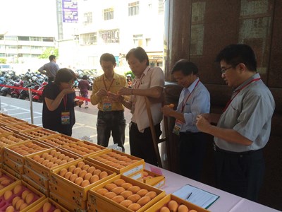 優質枇杷評鑑出爐      柯聰明榮獲冠軍