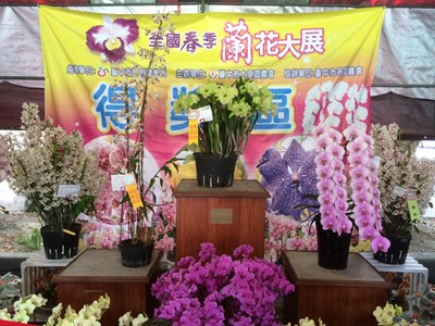 全國蘭花評鑑競賽 參賽蘭花將於大里國光花市展出
