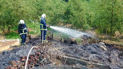 清明墓地火警累計446件 火勢均全數撲滅