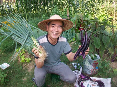 第三期環保農園報名開跑 市府邀民眾體驗耕種樂趣