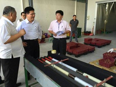 太平荔枝外銷美國 林市長站台力挺並盼再外銷其他國家