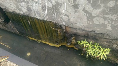 大里區工廠排油污  環保局迅速稽查告發
