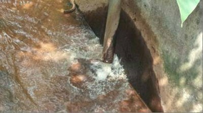 維護河川品質 環保局勤查重罰 籲業者守法