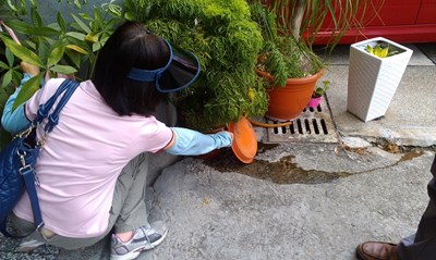 南台灣本土登革熱疫情持續升溫  衛生局呼籲加強室內外積水環境清除