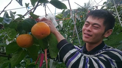 知識就是力量     美猴王張誠書務農     存下人生第一桶金