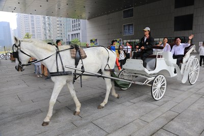 兩馬騎跡活動10/24開跑     林市長盼讓台中成為自行車城市