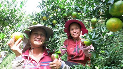 具足專業知識不走冤枉路       當農夫也可賺錢