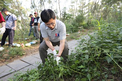 大肚山爬山除蔓   林市長呼籲共同清除植物殺手