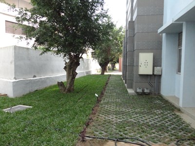 中市空地變綠地 今年新增約10多公頃