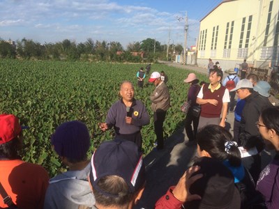 芋頭無農藥栽培技術觀摩會    百餘位農民觀摩交流