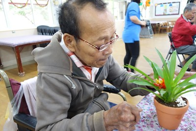 中市立仁愛之家園藝課程 長輩開心種花療癒心情