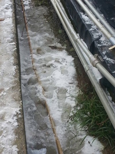 網路傳大坑步道賞雪照片 經市府查證非大坑 大坑新社未下雪