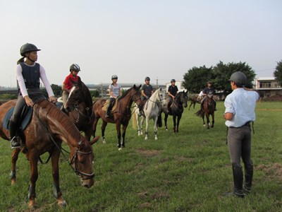 迎新春 后里馬場春節連假不打烊