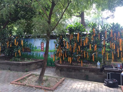 欣中自稱七期惠來整壓站合法 市府：悖離事實