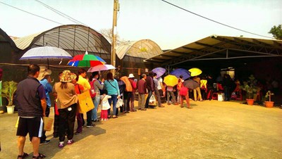 響應市府植樹政策 南屯苗圃近日領苗民眾踴躍