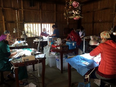 減少流浪犬貓     偏鄉犬貓絕育列車4月持續巡迴服務   