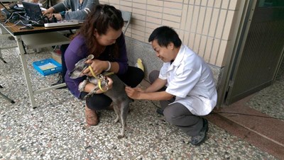 預防狂犬病     5月疫苗巡迴注射將開跑