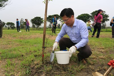 頂魚寮公園再植百棵苗木 強化海線防風