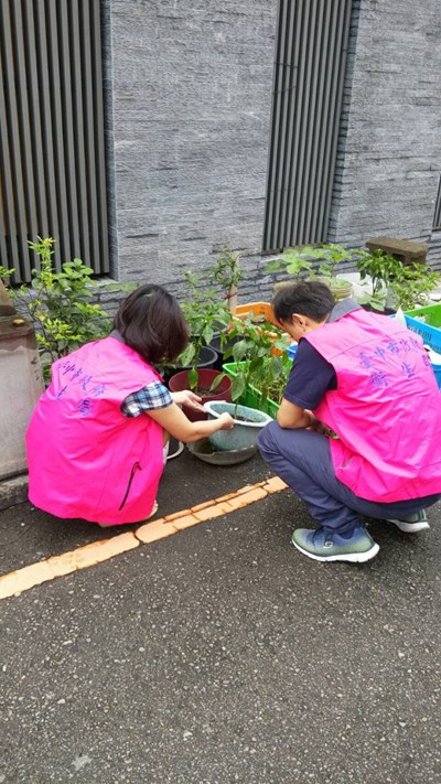 夏日病媒蚊生長活躍  衛生局持續監測社區登革熱病媒蚊