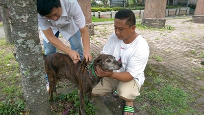 愛護毛小孩的健康     6、7月疫苗巡迴注射將開跑