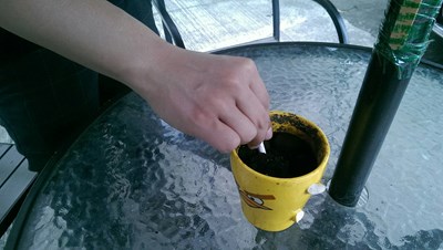 改善亂丟菸蒂 市府取締與輔導並重