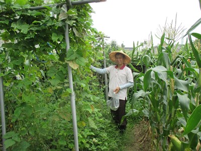 環保農園體驗農耕樂趣 即日起受理報名