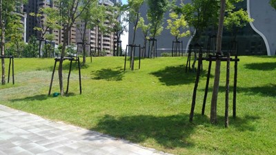 12座變電箱全數遷移 歌劇院戶外綠地更美觀