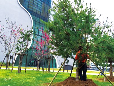 歌劇院戶外種植逾500樹木 企業另捐42棵樹木增添綠意