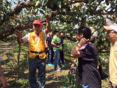 台積電員工梨產業初體驗   感受農村生活