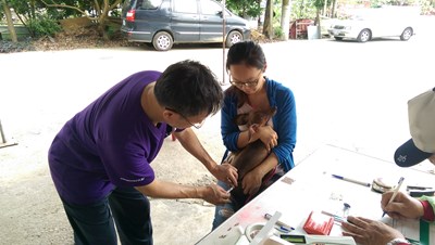 守護寵物健康    8月狂犬疫苗及晶片注射活動將開跑