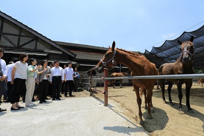 蔡總統視察台中花博后里園區   盼讓世界看見台灣