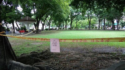 讓草皮休養生息 寶可夢熱點「逢甲公園」暫拉封鎖線