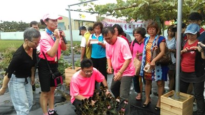 霧峰六股社區 紫錐花料理展創意