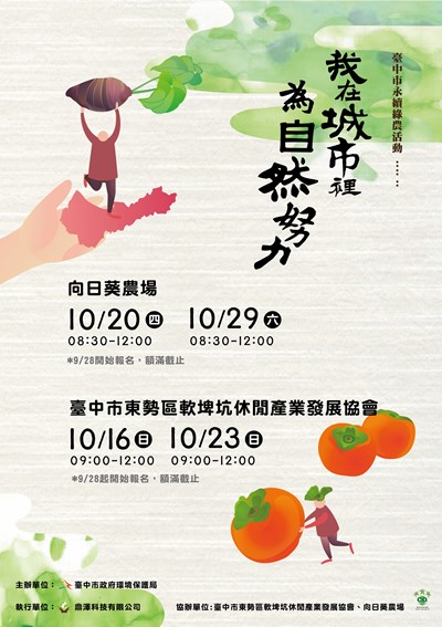 中市永續綠農採芋、摘柿子 9/28起開放報名