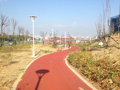 響應8年百萬植樹計畫 台積電種3800株喬木