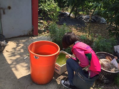 梅姬颱風遠離 衛生局籲清理積水容器 避免蚊蟲孳生