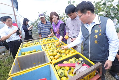 【梅姬颱風】持續關心農業災損     林市長赴東勢、大甲視察