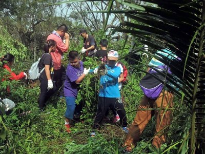 認識小花蔓澤蘭等外來入侵植物    農業局辦環境教育學習活動