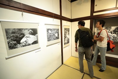 中市府辦余如季攝影展 林市長盼作品數位典藏化