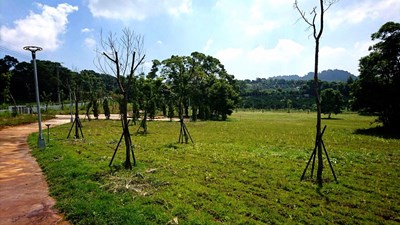 打造休憩新亮點  豐原公老坪公園綠美化完工