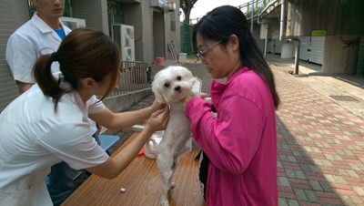 愛護寵物健康    11月月份疫苗巡迴注射1日開跑