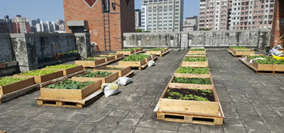 中市府「城食森林」種菜減碳 每年相當4公頃森林吸碳量