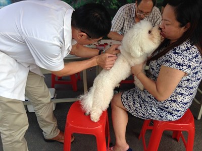 守護毛小孩健康  中市12月狂犬疫苗及晶片注射活動將開跑