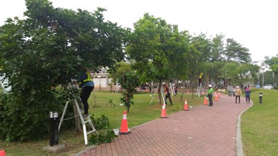 中市樹木修剪證照制度 錄取率52%