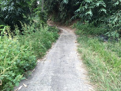 中市六都唯一管線統一挖補  持續代辦水公司委託案兼顧工程品質與路平