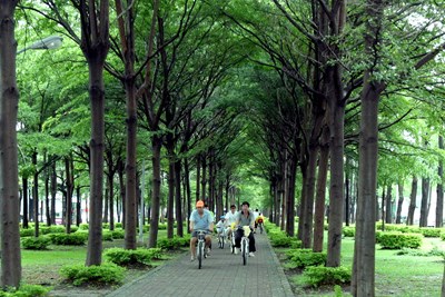 中市植樹每棵造冊追蹤列管 以台灣原生樹種、五大喬木為主