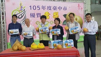 台中市優質雪梨果品評鑑結果出爐   陳煌明榮獲本年度雪梨達人